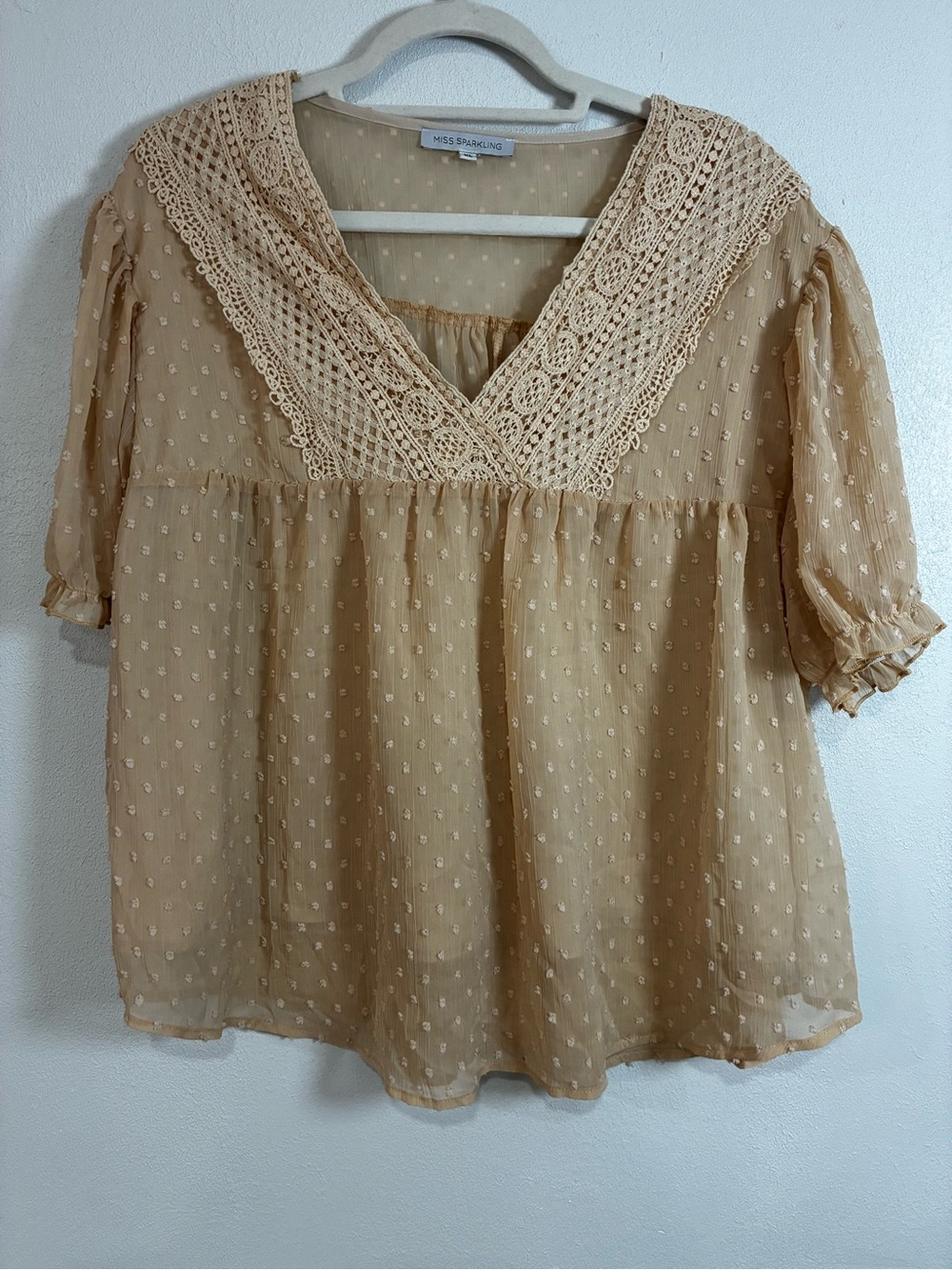 Beige Swiss Dot Lace Embellished V-Neck Blouse